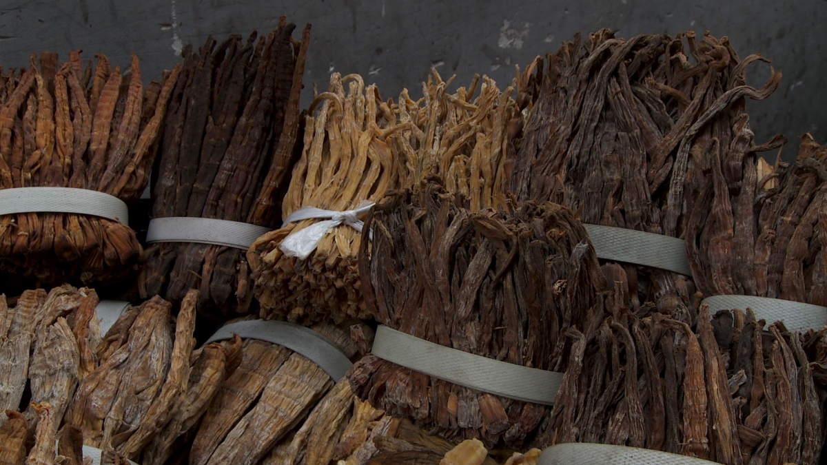 What is this? (Hint: you've almost certainly had them if you've ever eaten chinese fast food stir-fry...)    